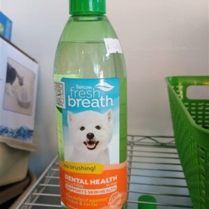Fresh Breath Dental Health min