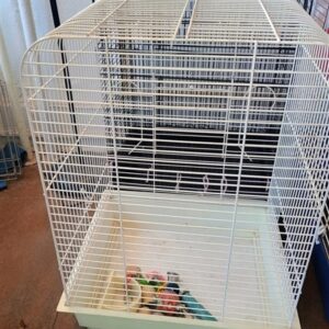 Small Animal Cage 3 min