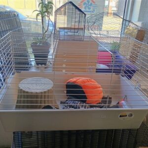 Small Animal Cage min
