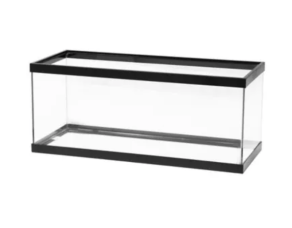 20 gallon long fish tank