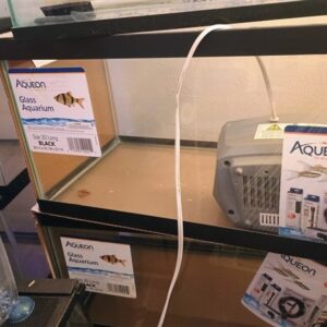 Aqueon Glass Aquarium min